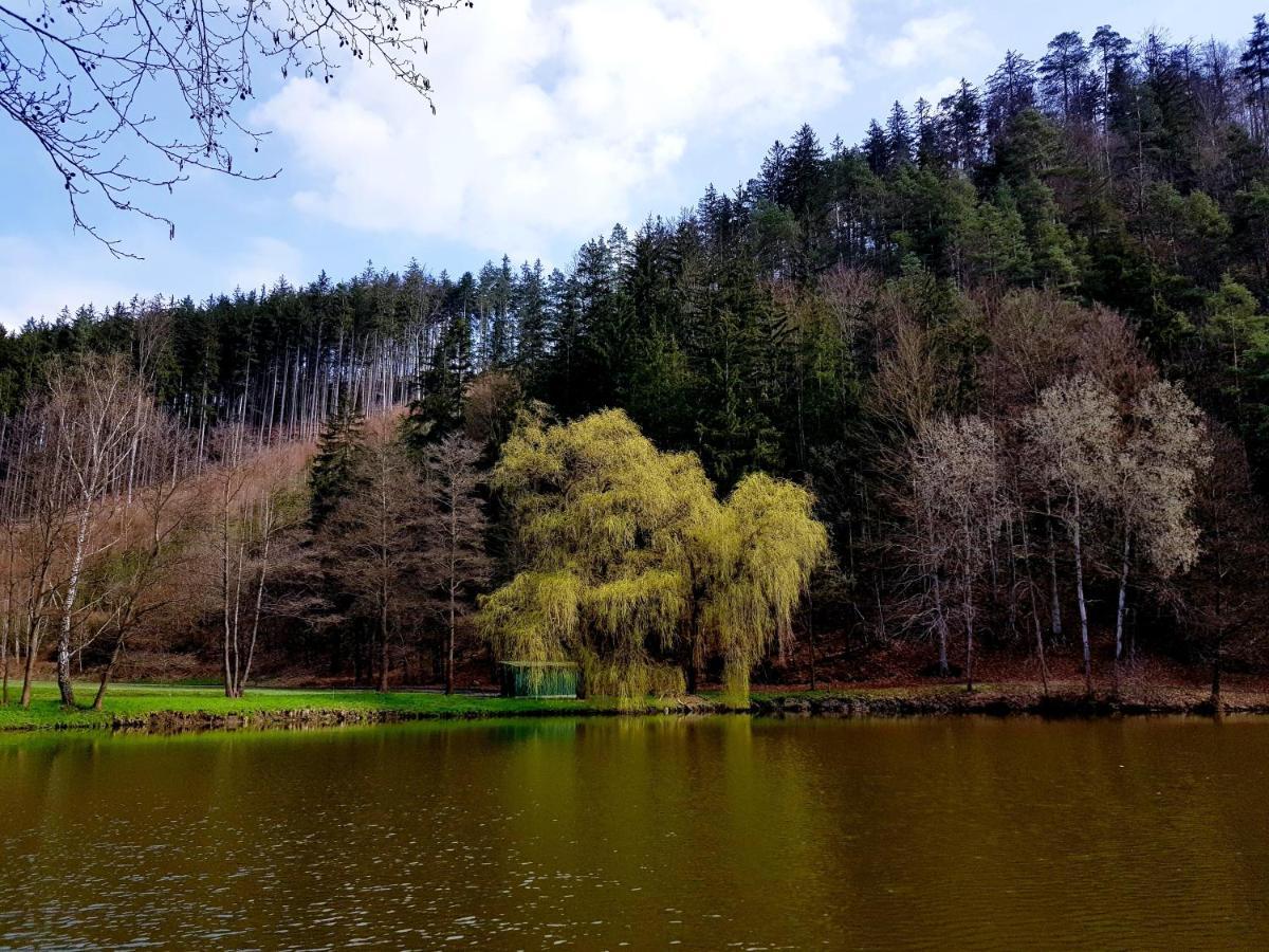 Schupplerova Vila Hostejn Buitenkant foto
