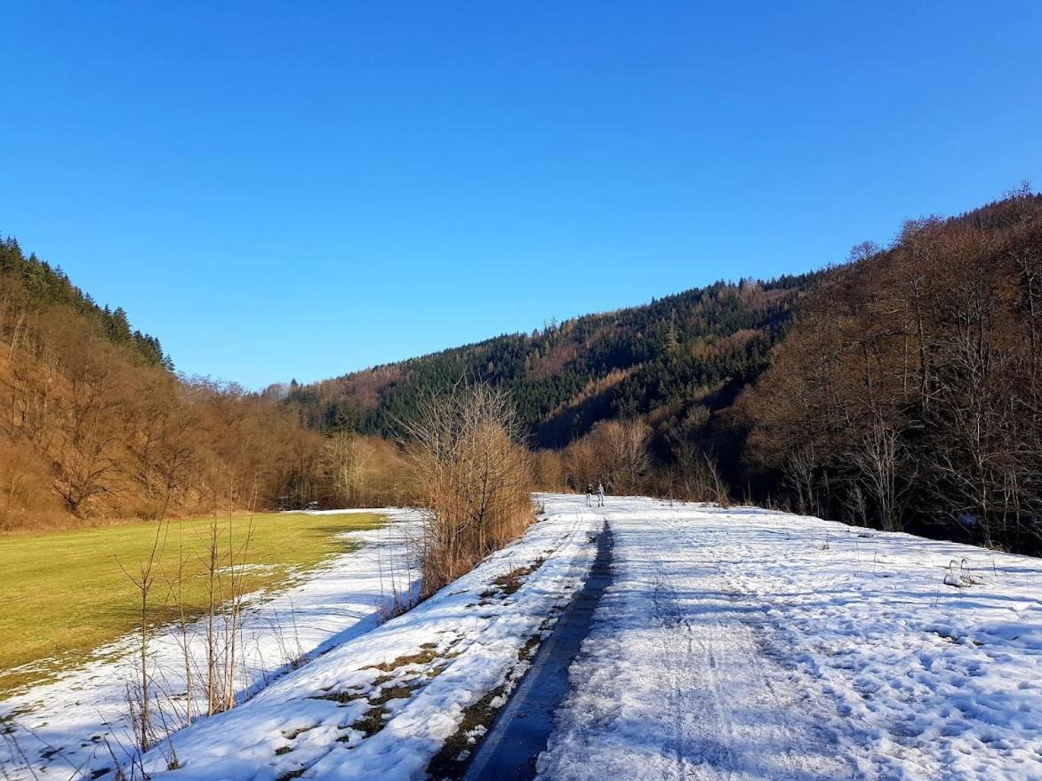 Schupplerova Vila Hostejn Buitenkant foto