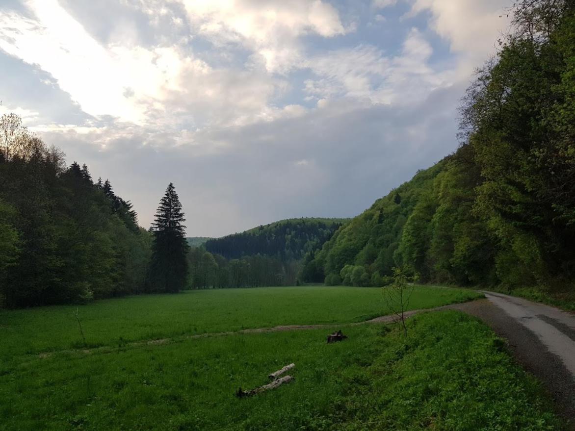 Schupplerova Vila Hostejn Buitenkant foto